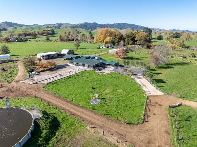 133 Flume Road Te Miro_5