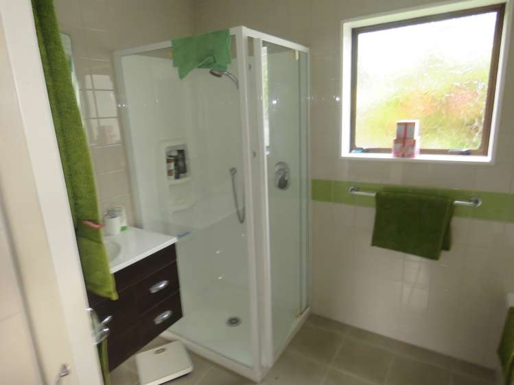 20 Greenfield Street Hector_9