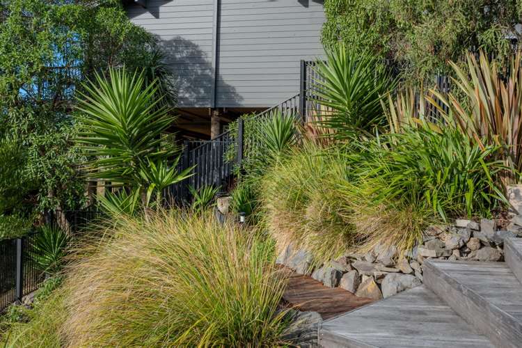 29 Soleares Avenue Mount Pleasant_40