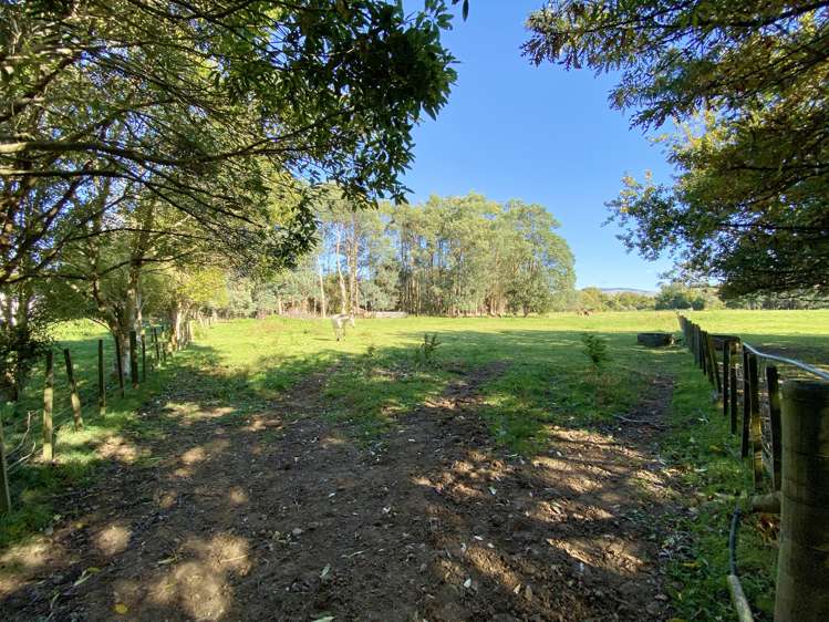 258a Gladstone Road Levin_10