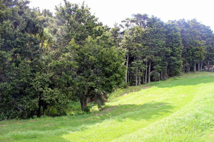 28 Hancock Grove Mangawhai_13