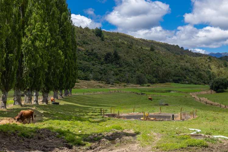 1153 Shenandoah Highway Murchison_33