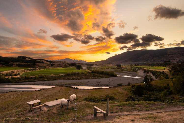 1745 Awatere Valley Road Awatere Valley_21