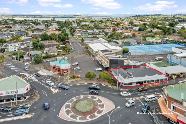 725 Mt Albert Road Royal Oak_2