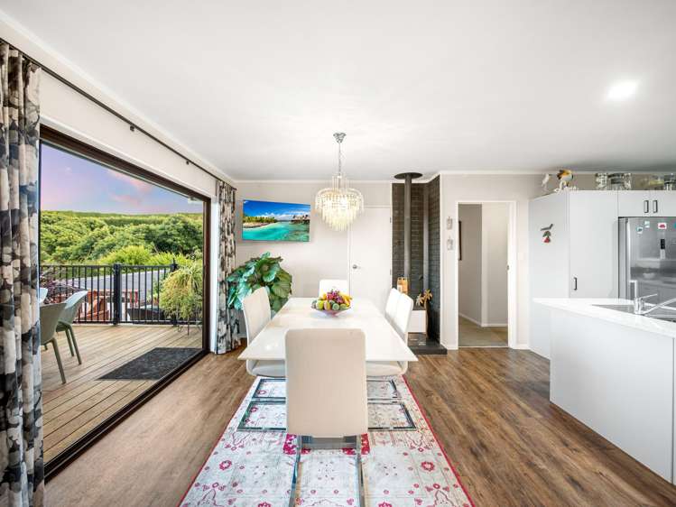 313 Youngson Road Whakamarama_6