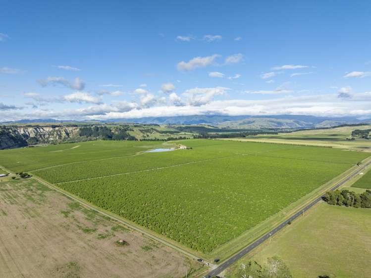 1905 Matapiro Road Crownthorpe_10