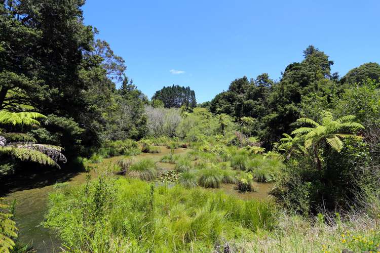 29 Patrick Lane Ramarama_19