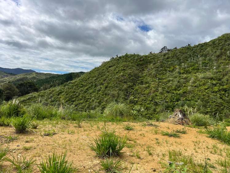 Lot 23 Waiotehue Road Herekino_8