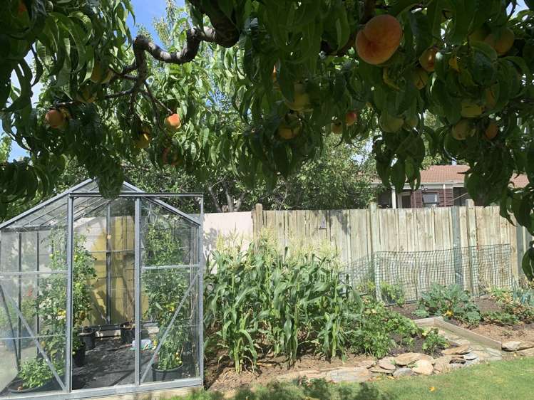 69 Waenga Drive Cromwell_17