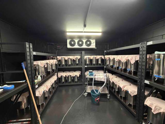 Suite A/37 Crummer Road Grey Lynn_4