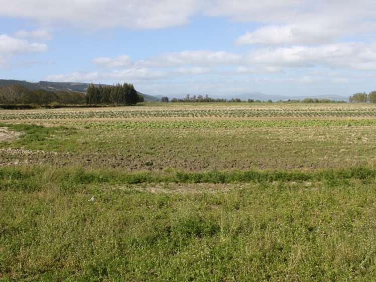 498 Allanton Road Outram_4