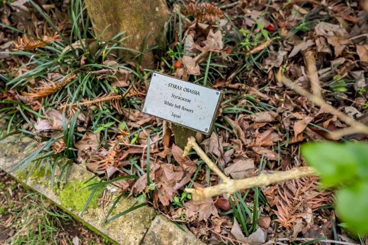 1405 South Road Kaitake_38