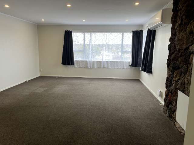 19 Parfitt Street Mount Roskill_1
