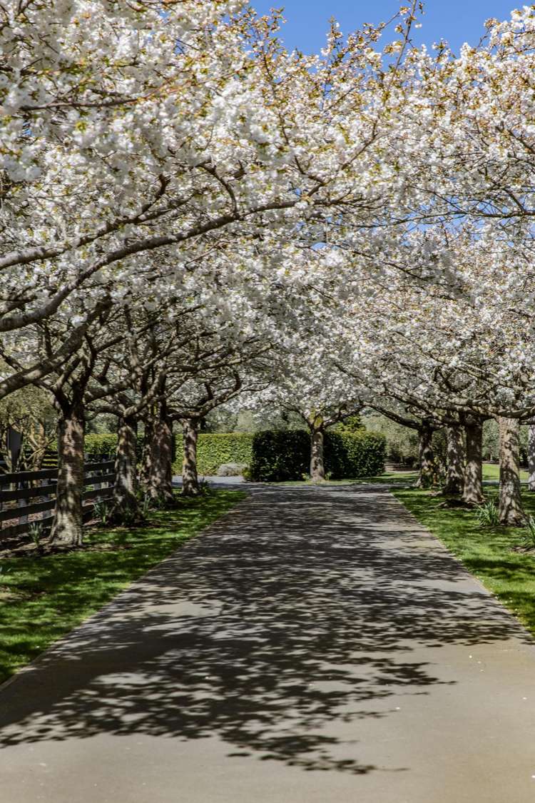 184 Vicenza Drive Ohoka_38