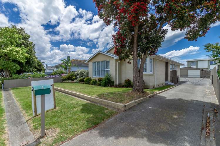 9 McLaren Crescent Onekawa_3