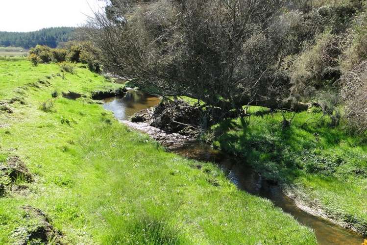 69 Best Road Upper Moutere_15