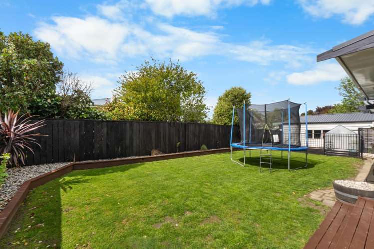 101 Ward Street Waverley_41