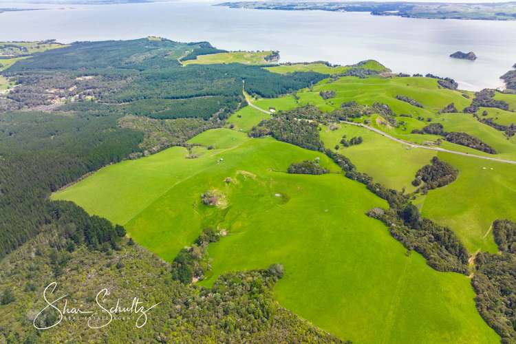 1509 Tinopai Road Tinopai_9