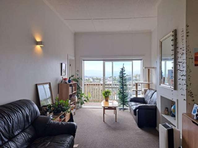 27 Sugarloaf Road Brooklyn_1