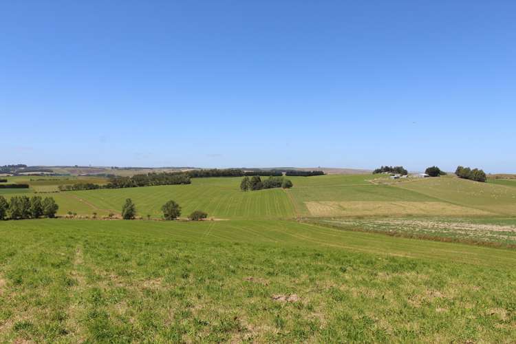 1271 Waikaka Valley Highway Gore Surrounds_15