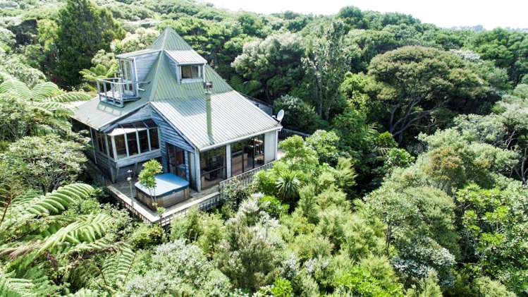 20 La Trobe Track Karekare_4