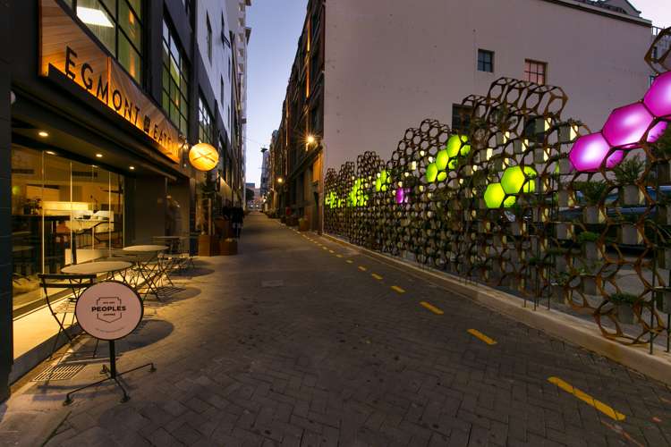 4/20 Egmont Street Te Aro_7