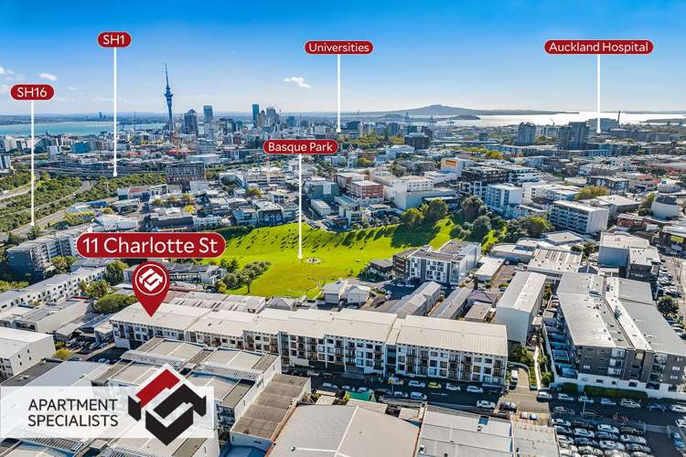 11 Charlotte Street Eden Terrace_14