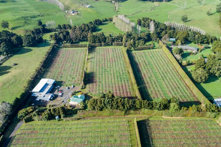 448 Ngunguru Road Glenbervie_4