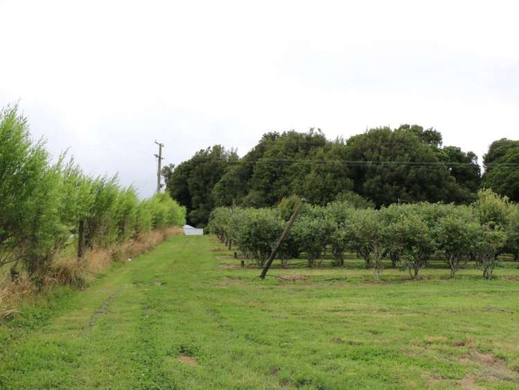 496 Tapapa Road Tapapa_18