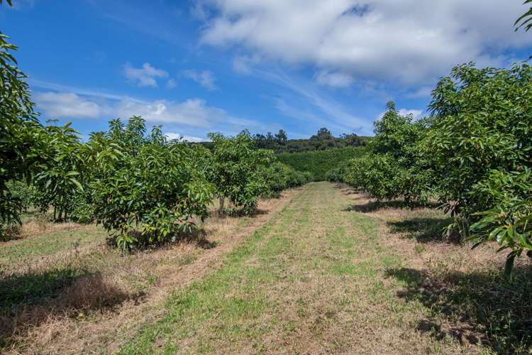 88 Stone Wall Rse Maungatapere_7