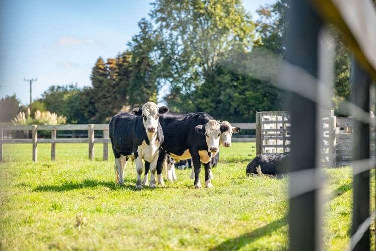 299, 1/289 2/289 Thornton Road Cambridge_44