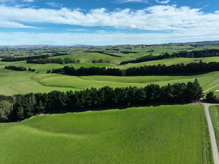 191 Chapman Road Wharetoa_24