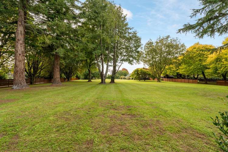 1/59c Western Ave Omokoroa Beach_8