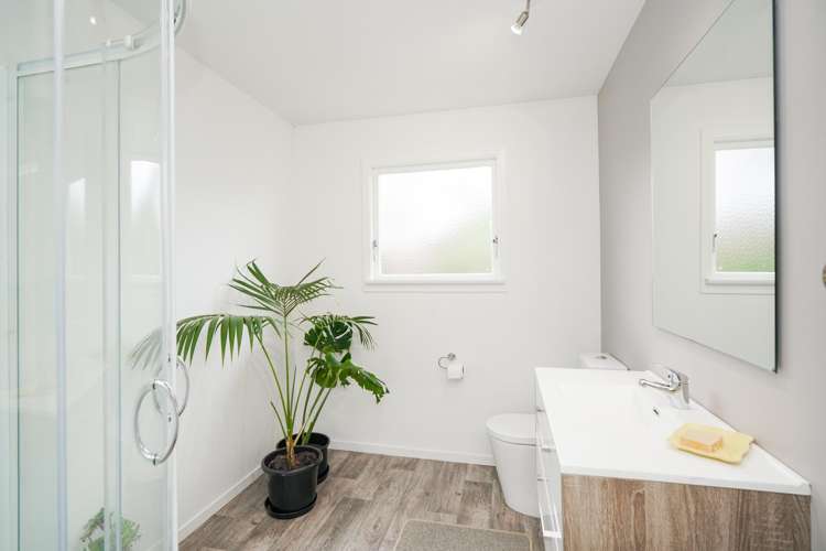 398 Drysdale Road Myross Bush_15