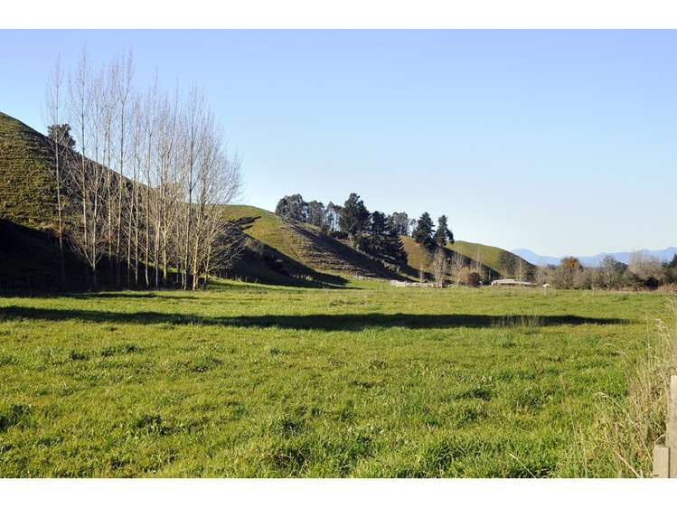 364 Rosedale Road Upper Moutere_17