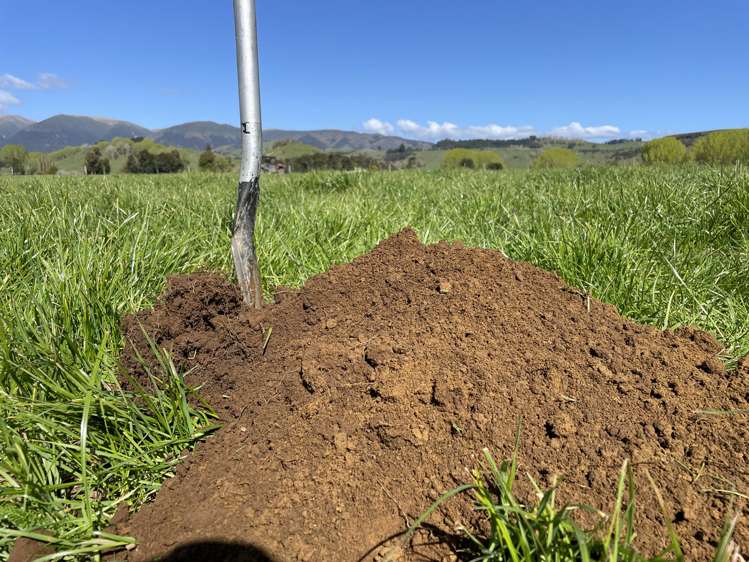 37 Karewarewa Road Rangiwahia_18