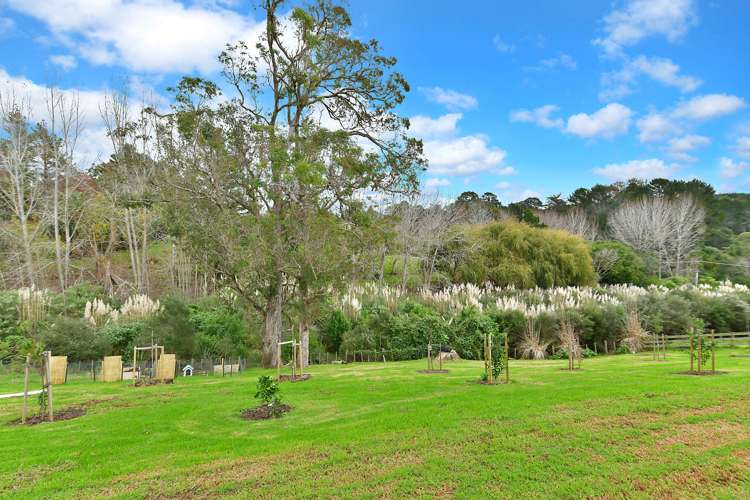 23 Hobbs Road Matakatia_8