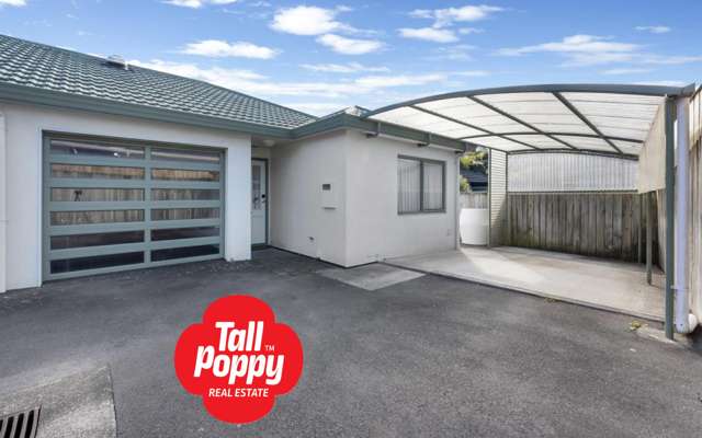 18b Kipling Street Johnsonville_1