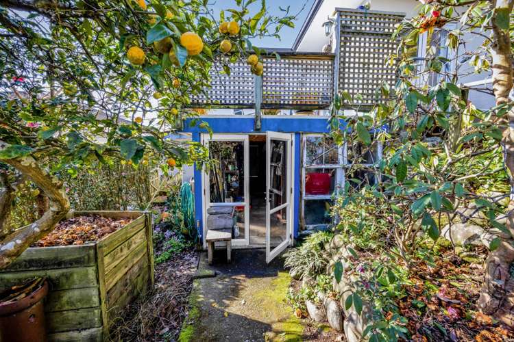 90 Mill Road Lower Vogeltown_38