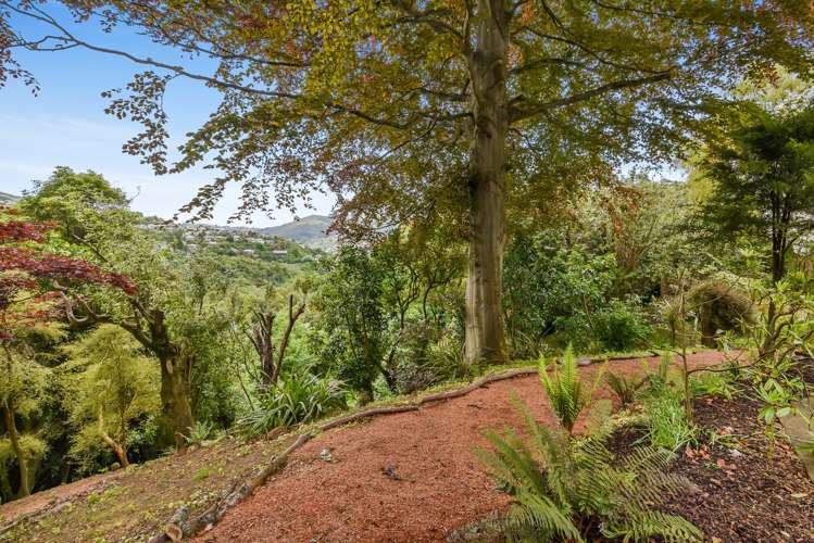 24 Braeview Crescent Maori Hill_5