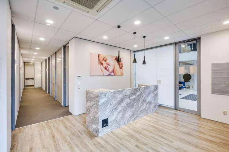 17 Napier Road Havelock North_3