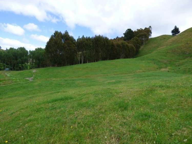 1370 Te Kopia Road Waikite Valley_10