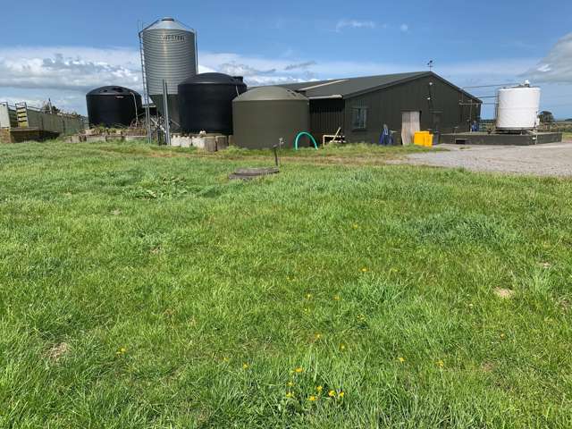 1703 Eltham Road Riverlea_4