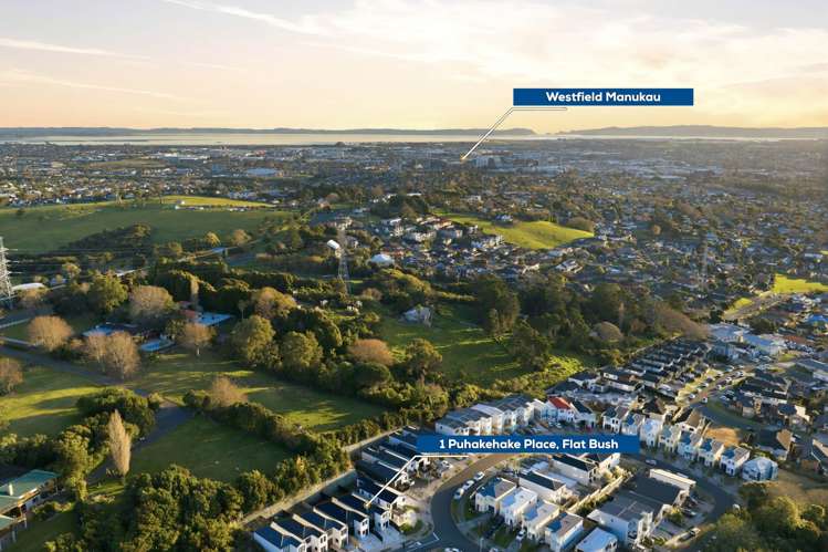 1 Puhakehake Place Flat Bush_24