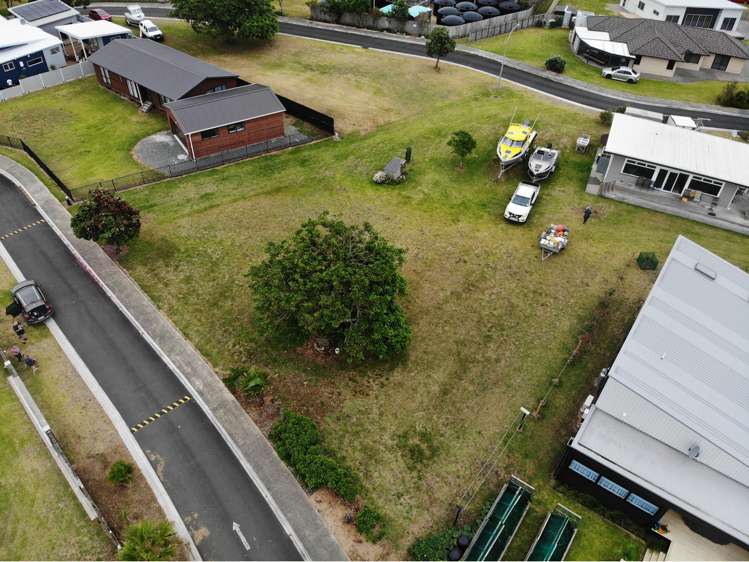 14 Flame Tree Lane Taipa_9