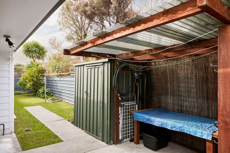 43c Stout Street Whataupoko_18