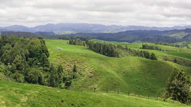 1031 Waipuna Road Waitomo_19