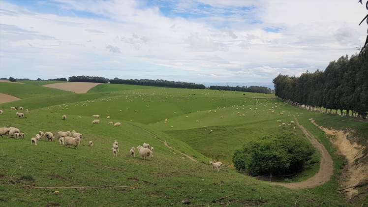 161 Roulston Road Balclutha_8