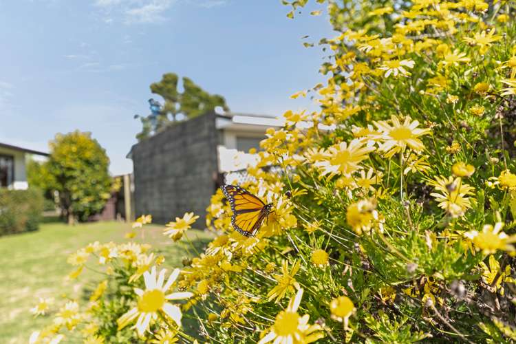 2 Desmond Place Bell Block_16