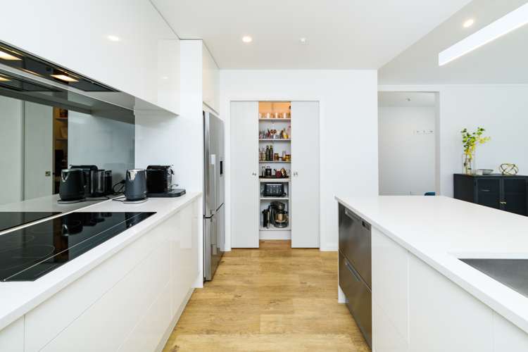 2b Massey Street Palmerston North Central_15